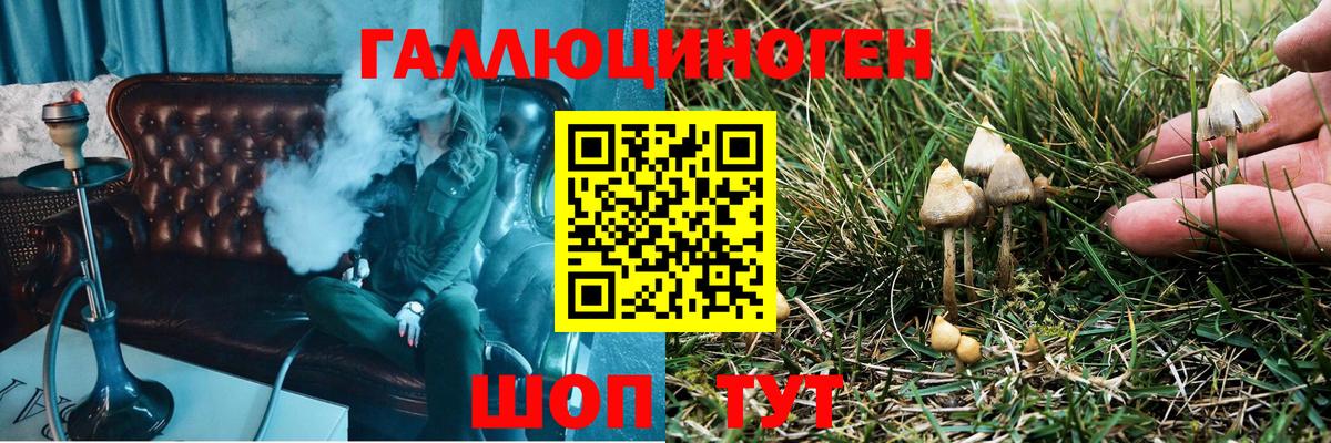 Псилоцибиновые грибы MAGIC MUSHROOMS  Вход с VPN  Новотроицк 