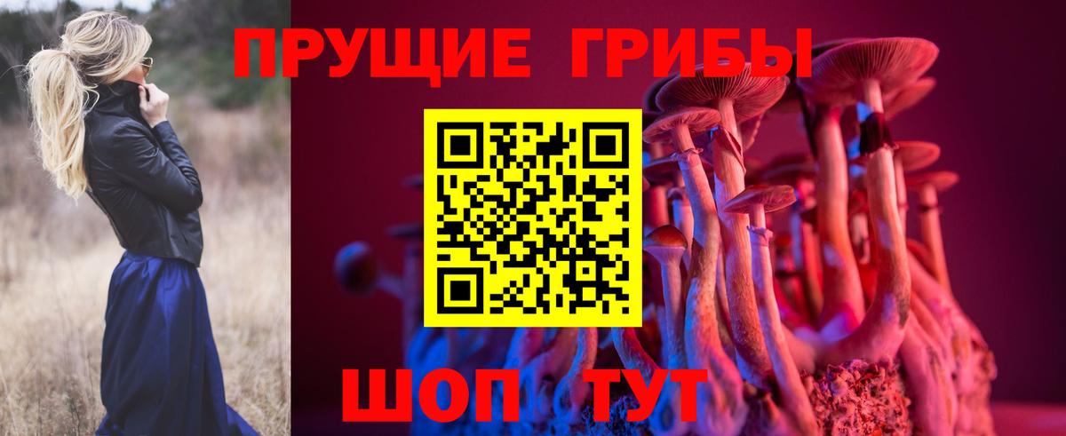 Галлюциногенные грибы Psilocybine cubensis Новотроицк