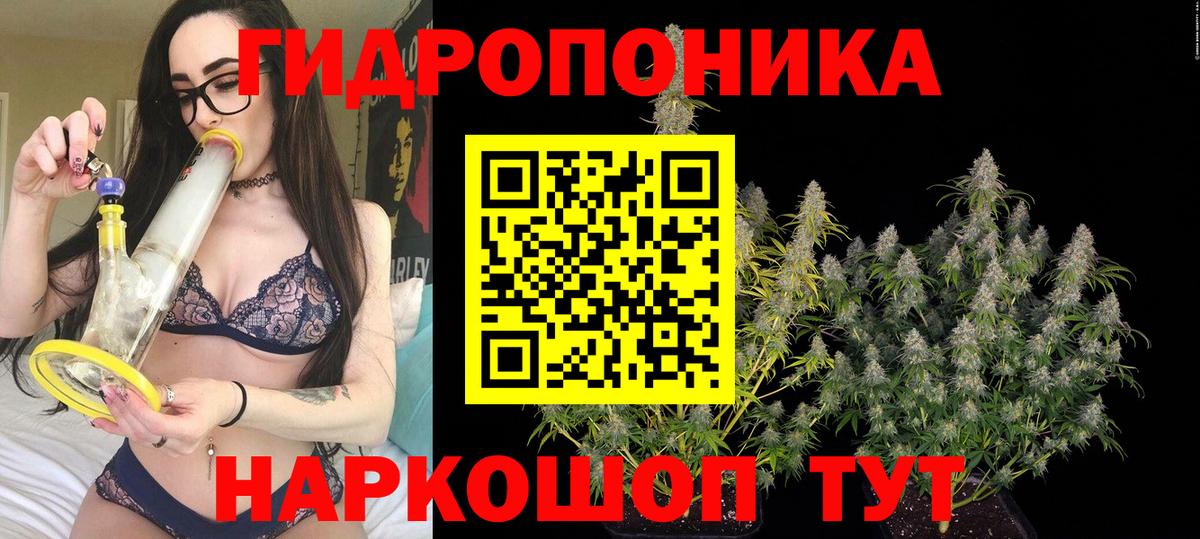 Бошки марихуана AK-47 Новотроицк